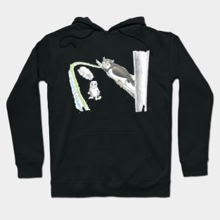 Flight of the Platypus Hoodie